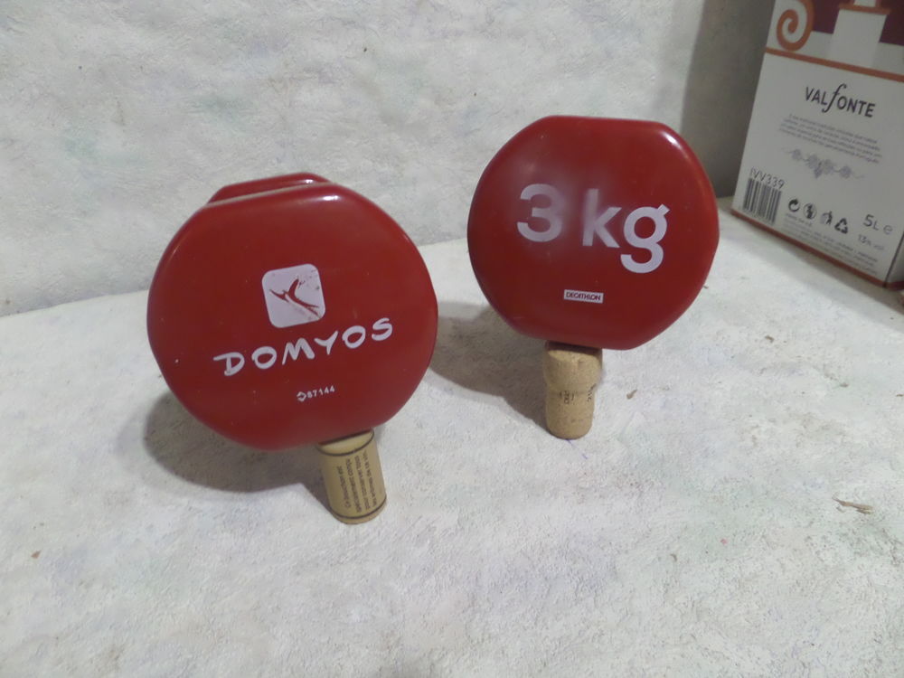 une paire de poids halteres de 3 kg Sports