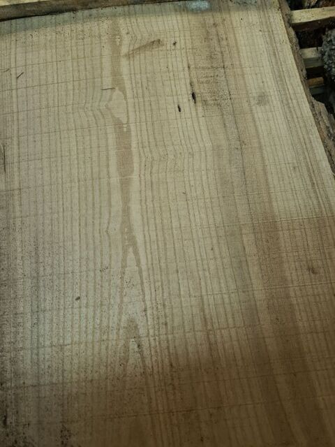 Bois exotique : CATALPA 420 Chantillac (16)