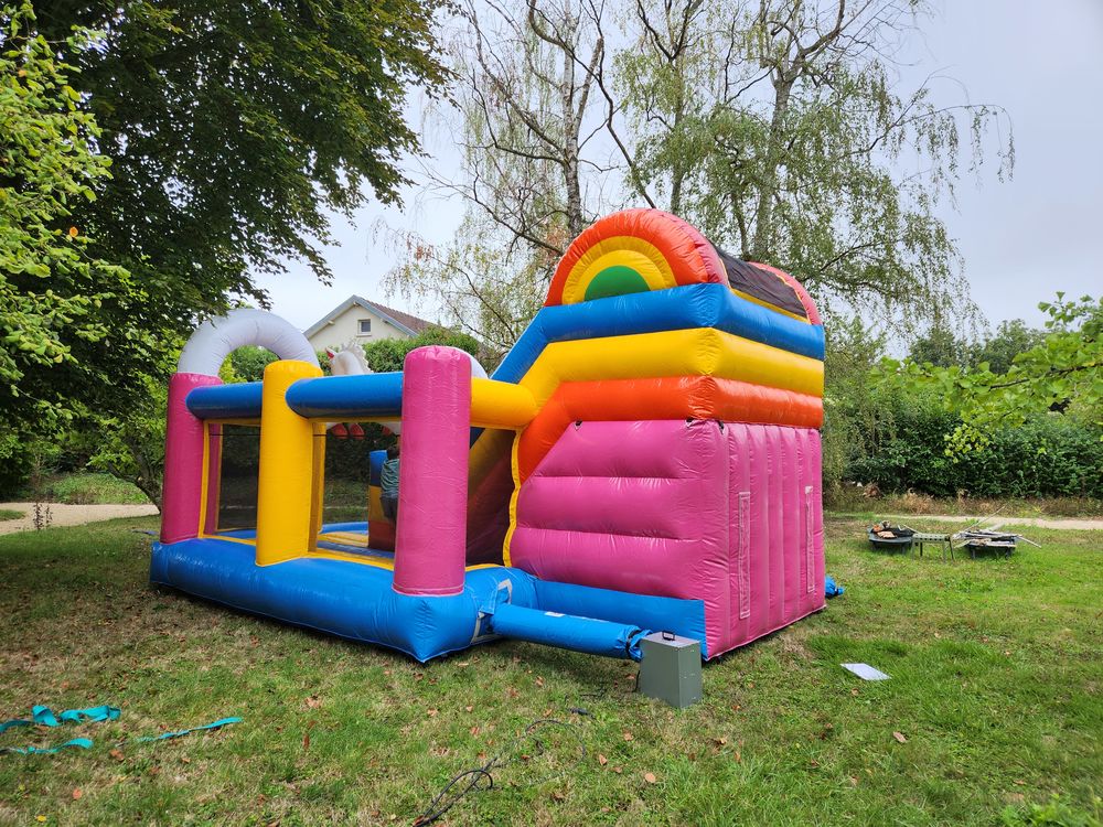 Chateau gonflable licorne avec toboggan - tres bon etat Jeux / jouets