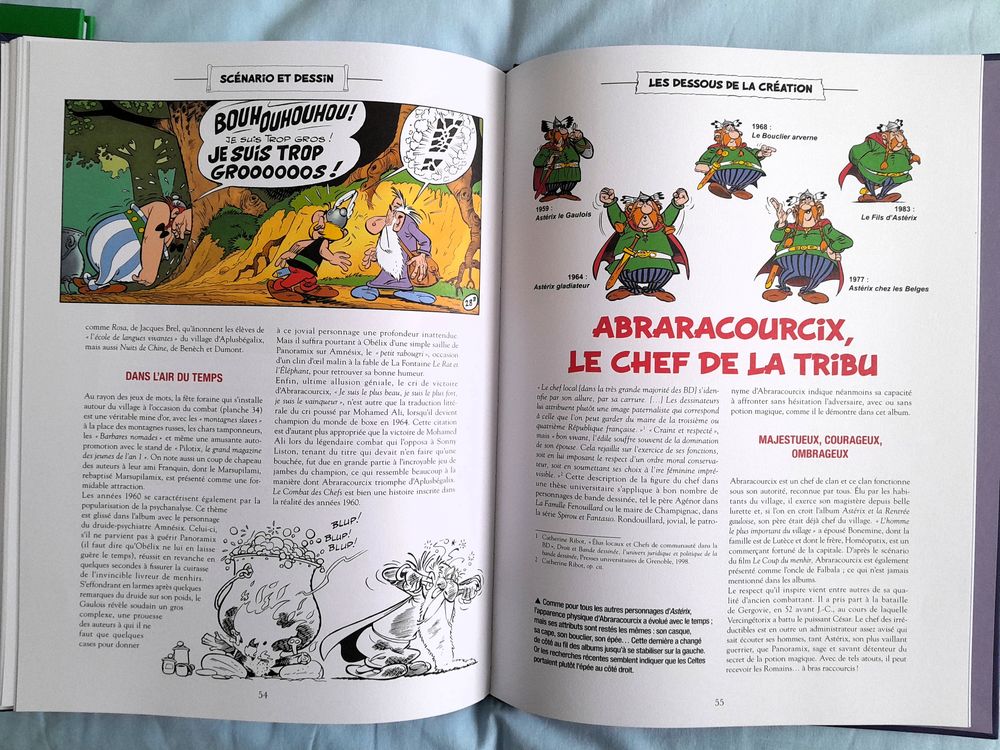 Album reli&eacute; Ast&eacute;rix : "Le Combat des Chefs". Livres et BD