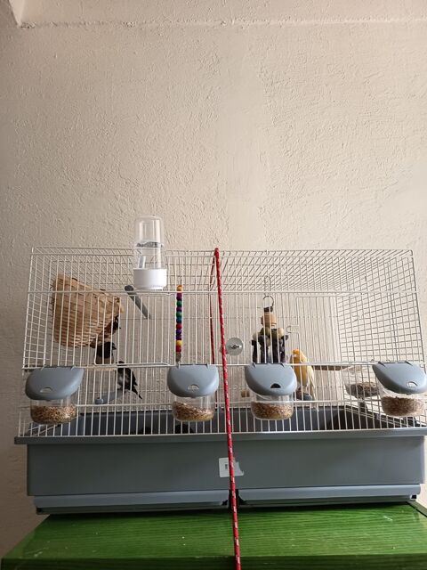 cage 40 06130 Grasse