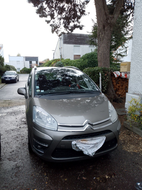 Citroen c4 picasso Citroën  e-HDi 110 Airdream Busines