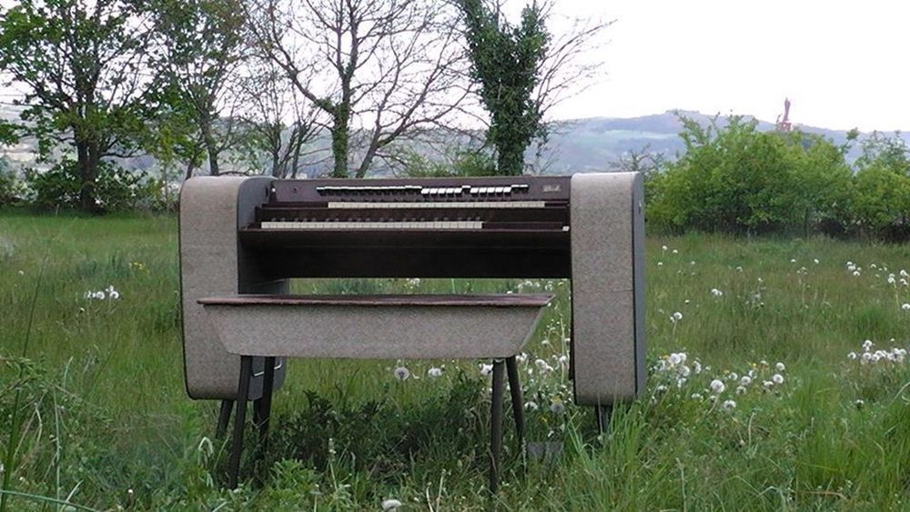 Bird Contemporary Mark II Instruments de musique