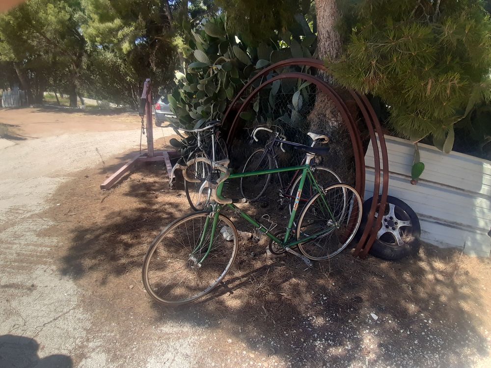 velos de course encien vintage annee 1960 a 1970 Vélos