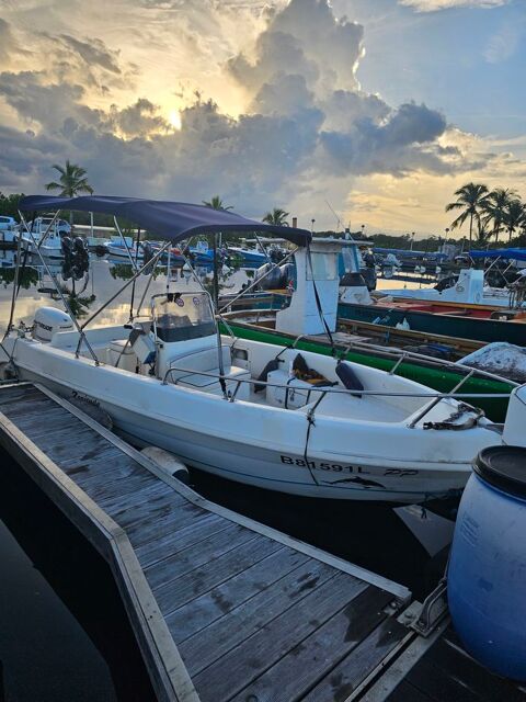 Bateaux &agrave; moteur P&ecirc;che-promenade 2010 occasion Guadeloupe 97139