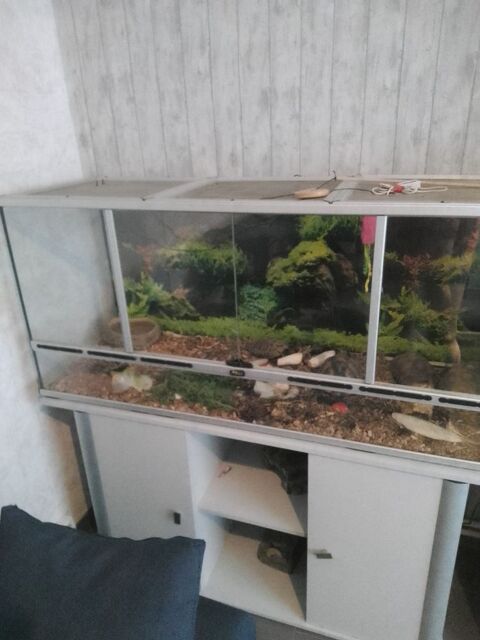 terrarium lg 1.30m h 65 l 45 en bon etat plus meuble 280 62260 Auchel