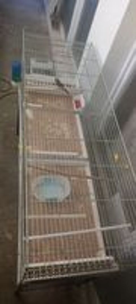   cage 1.20 .  plus demander  dbarquer 1,20 tous les abreuvo 