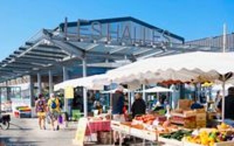  2025 occasion 85470 Bretignolles-sur-Mer