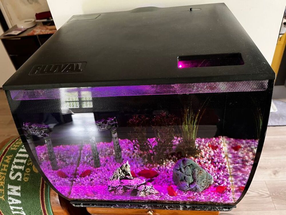Aquarium 57L FLUVAL Décoration