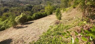  Terrain à vendre 16000 m² Menton