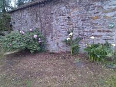   Entretien jardin et débroussaillage, petits bricolages  