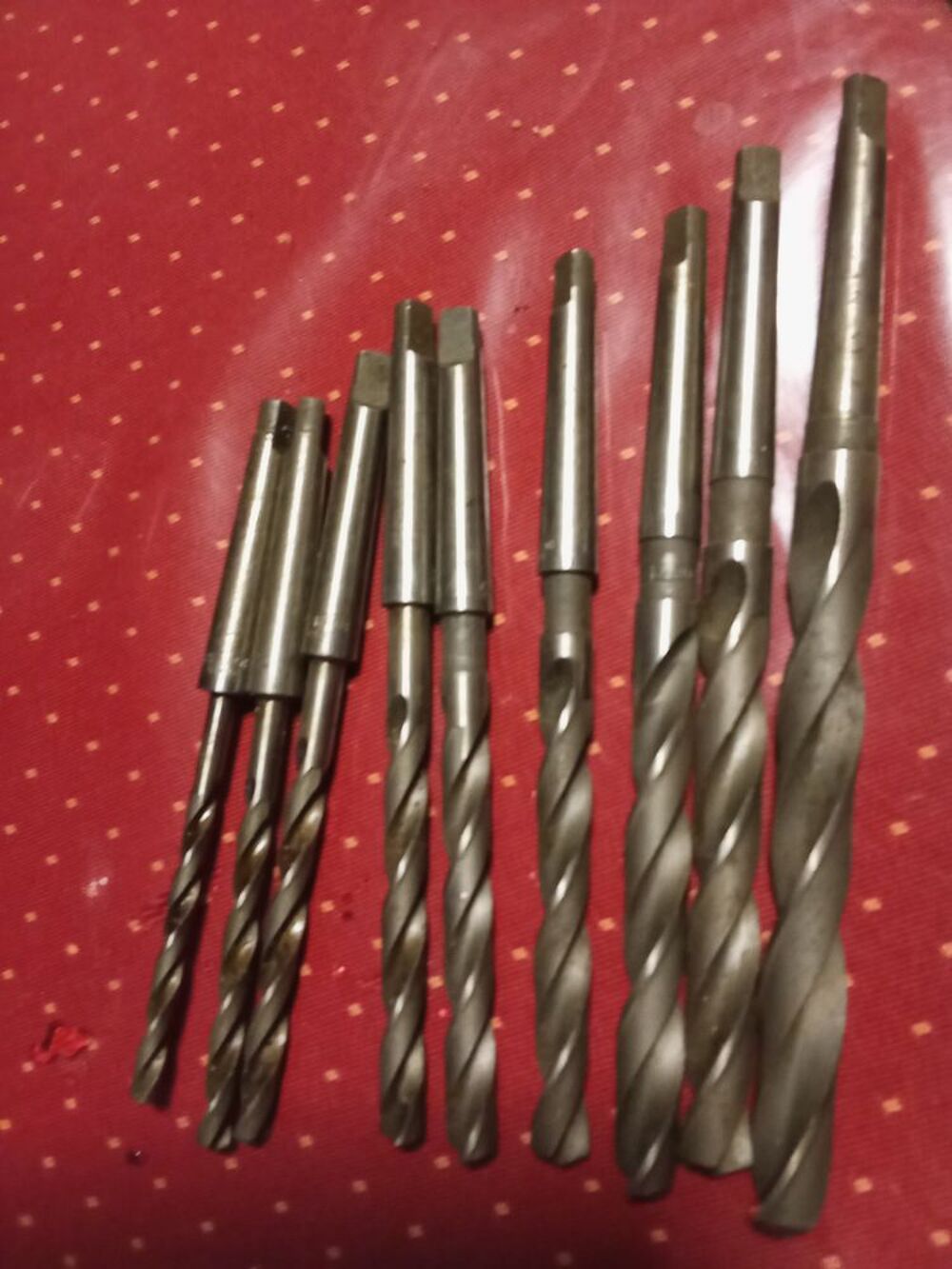 9 For&ecirc;ts coniques Bricolage