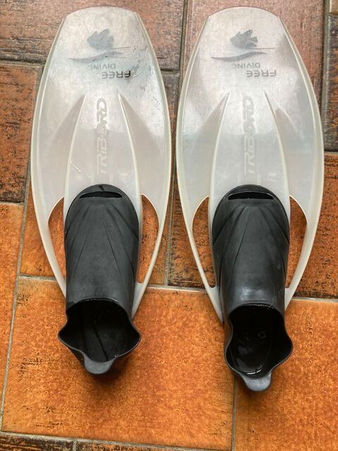 Palmes courtes 10 Artigueloutan (64)