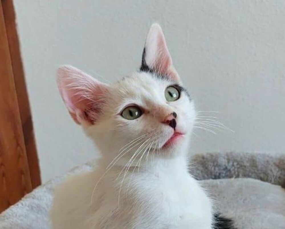   YUKI 
