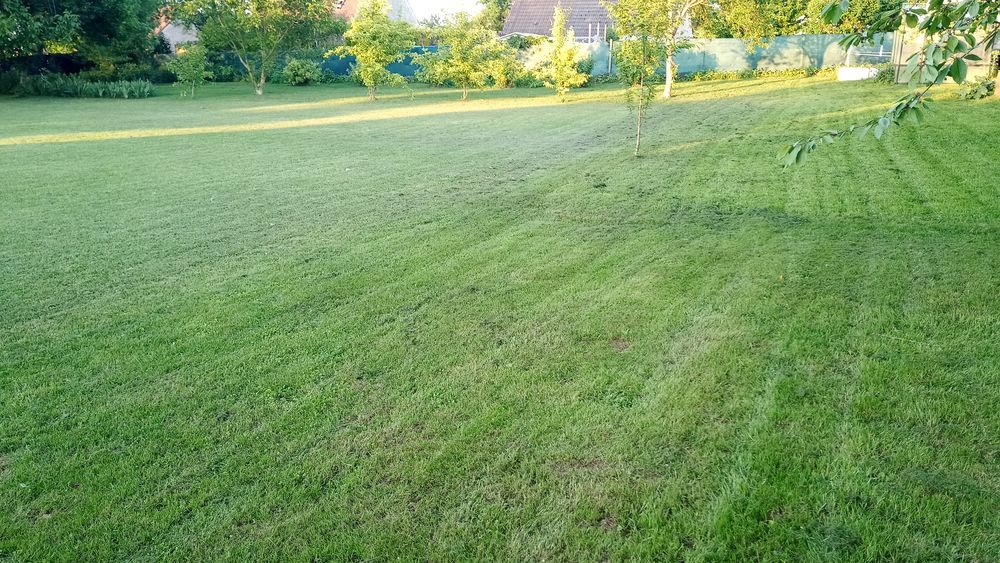 Vente Terrain Terrain constructible Mousseaux-lès-bray
