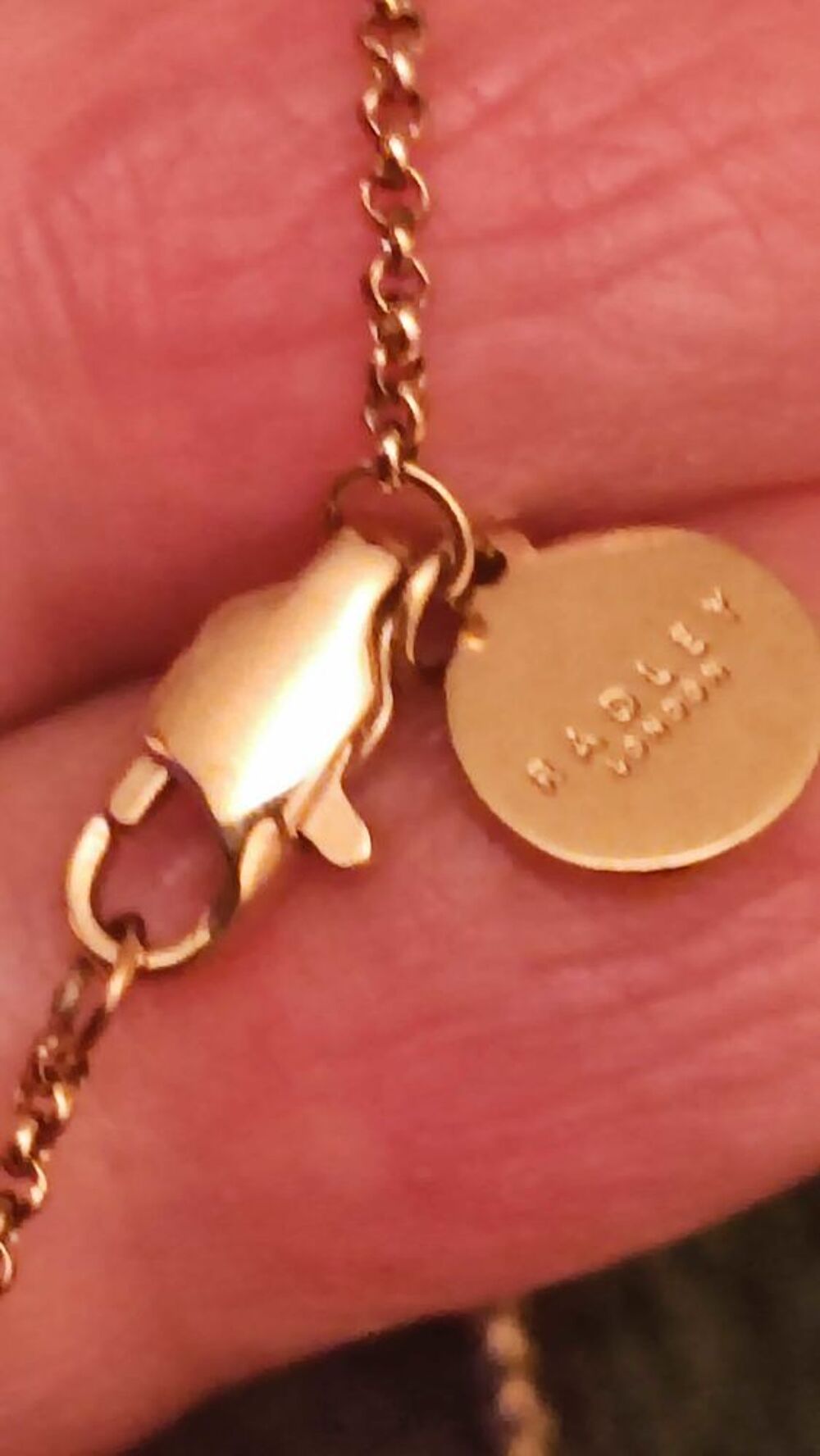 Cha&icirc;ne et pendentif plaqu&eacute; or jaune Radley London. neufs &eacute; Bijoux et montres