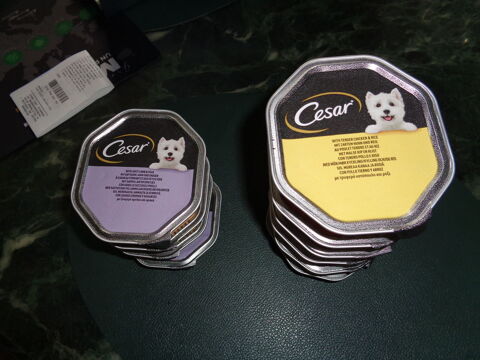 10 boîtes de 150 g patée chien 7 61160 Trun