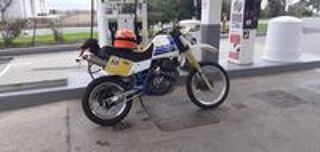 SUZUKI 1985 occasion 20200 Bastia