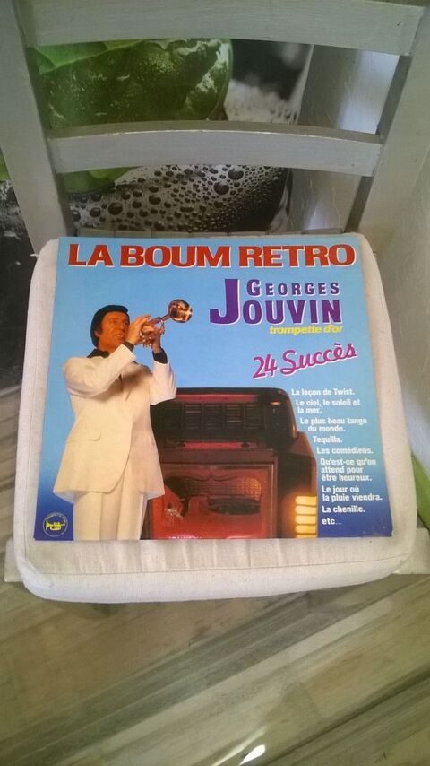 Vinyle Georges Jouvin
La Boum Retro - 24 Succès
1983
Exce 5 Talange (57)