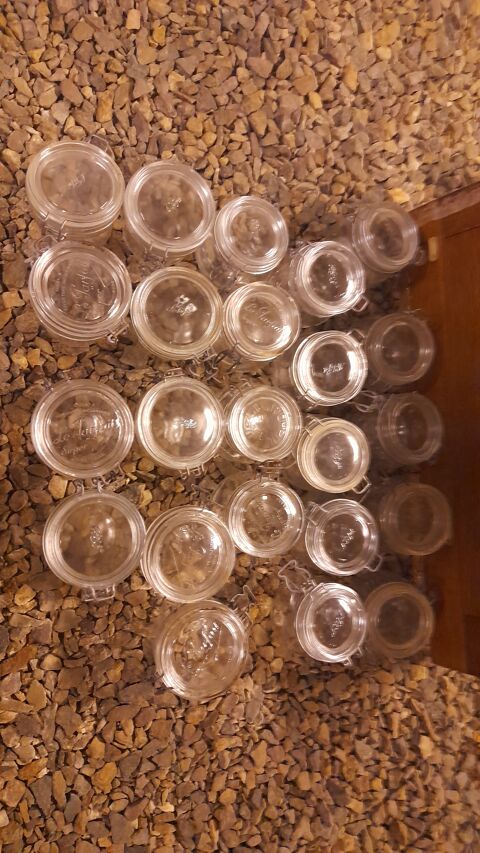 20 bocaux de 0litre500 20 Teloch (72)