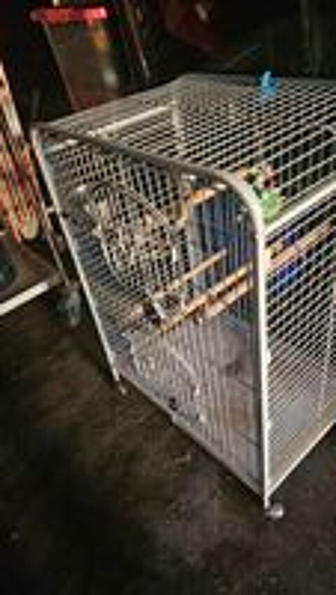   Cage perroquet  