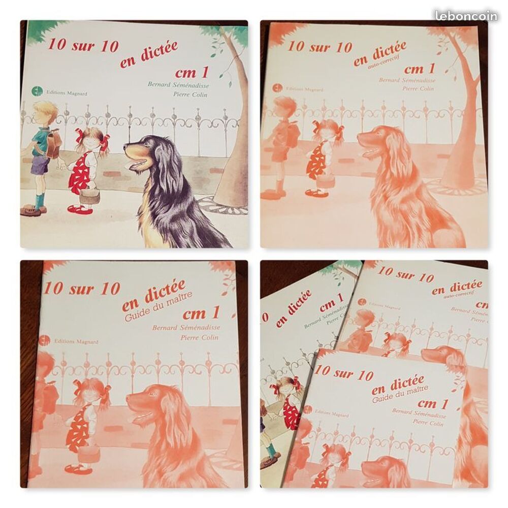 10 sur 10 en dictee edition magnard Livres et BD