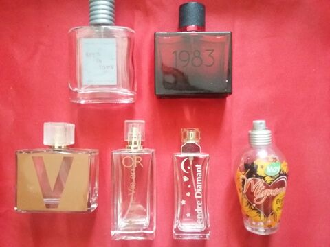 Flacons de parfums vides 10 Digoin (71)