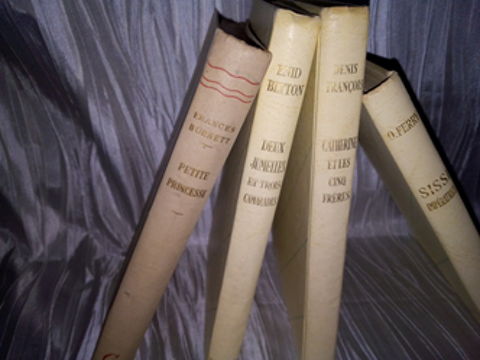 Livres de poches classiques 2 Savigny-sur-Orge (91)