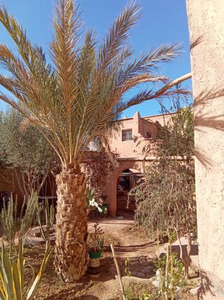  Villa  vendre 14 pices 259 m Ouarzazate, maroc
