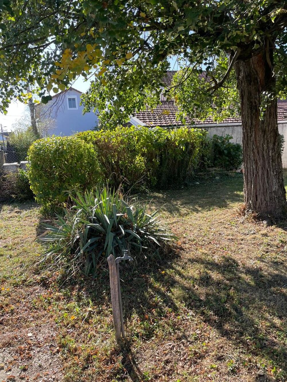 Vente Terrain Terrain de 800 m2 à Bourg-en-Bresse Bourg-en-bresse