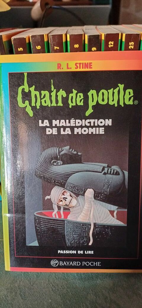 Collection livres Chair de Poule 30 Le Palais-sur-Vienne (87)