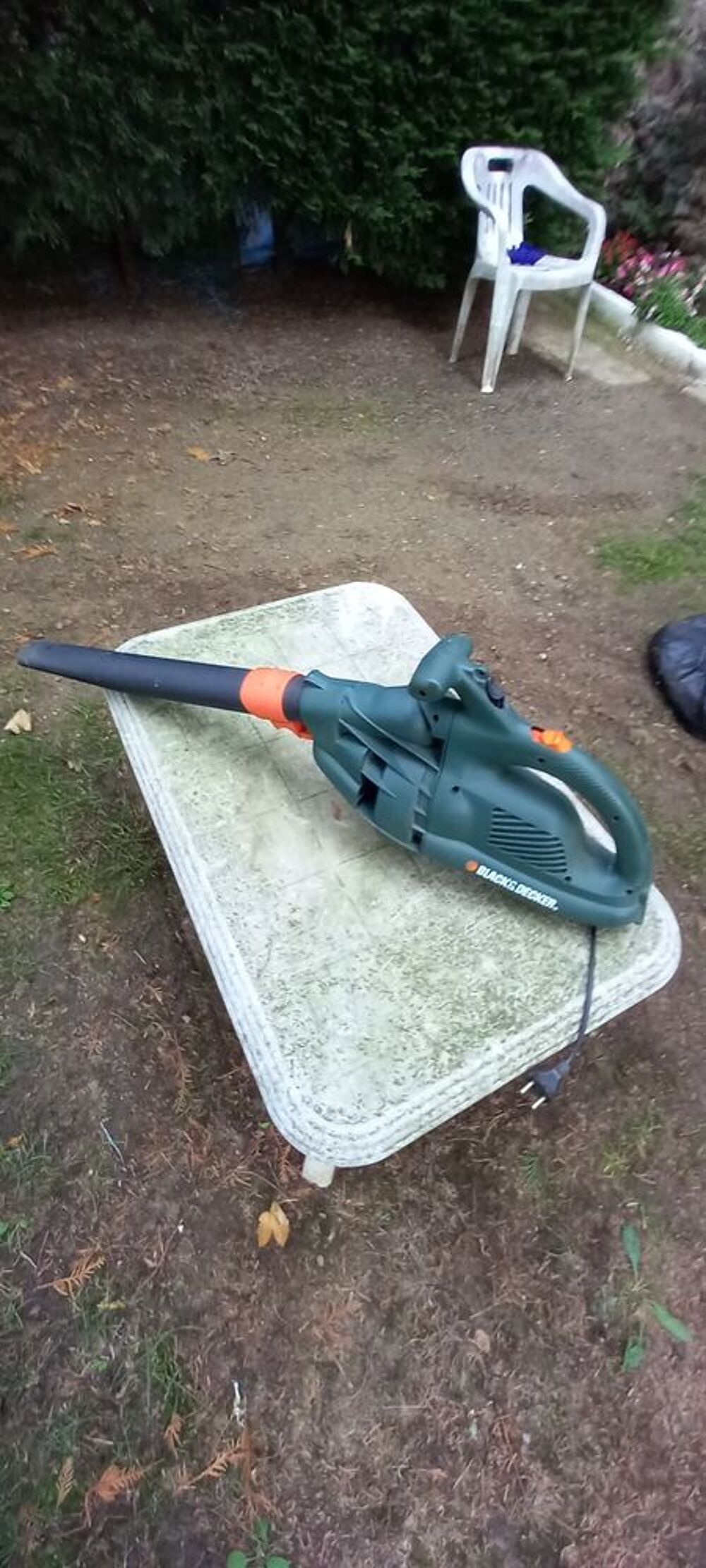 aspirateur souffleur de feuilles. Jardin