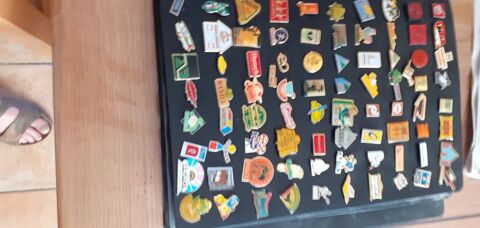 divers pins 0 Dainville (62)