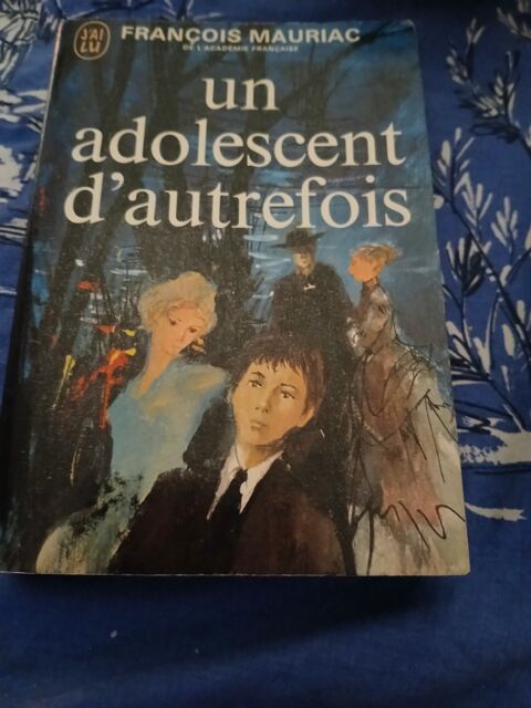 LIVRE UN ADOLESCENT D'AUTREFOIS 3 Triel-sur-Seine (78)