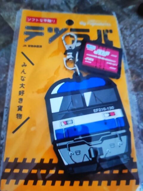 Porte cl train japonais 10 Vitr (35)