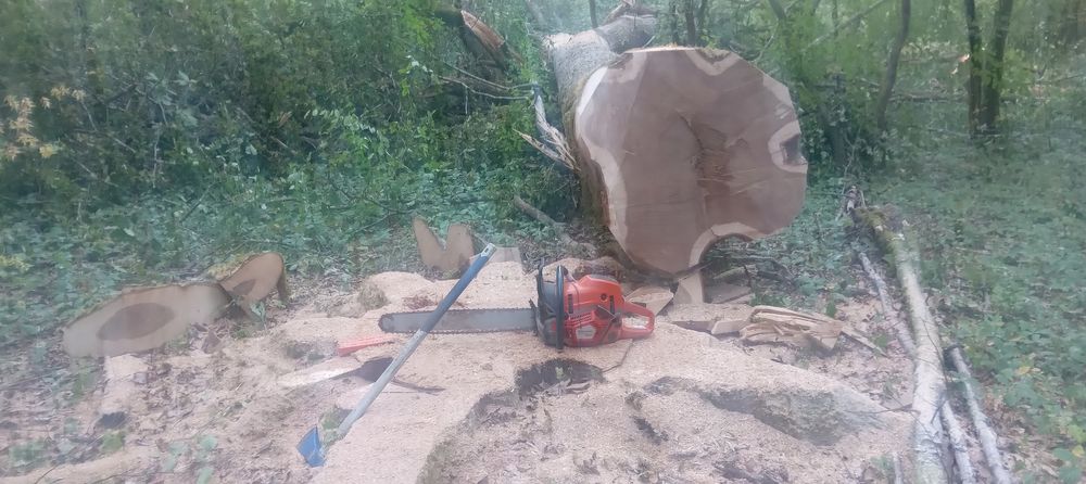 Tron&ccedil;onneuse Bricolage