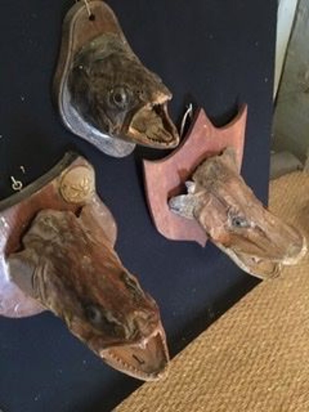 Lot Troph&eacute;es de p&ecirc;che sur &eacute;cusson en bois Décoration