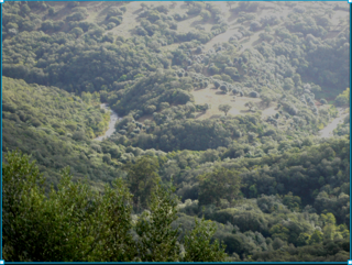  Terrain à vendre 44000 m²