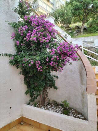 Location  Appartement 