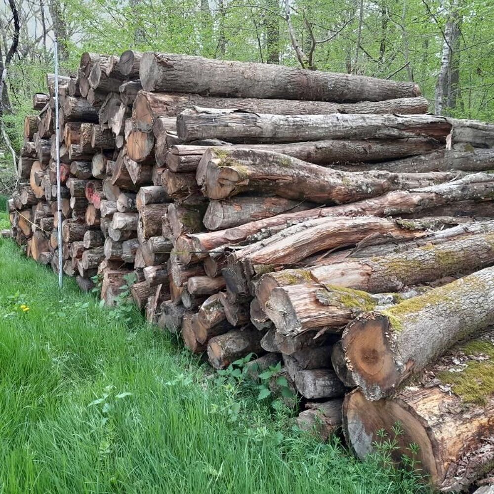 Bois de chauffage Bricolage