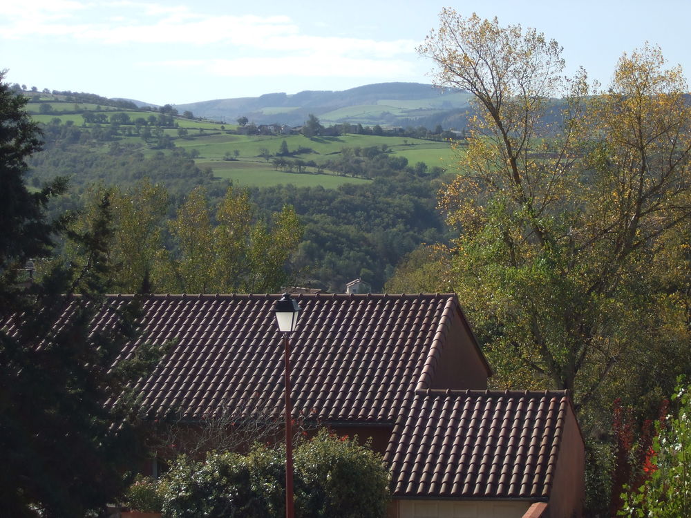Vente Terrain TERRAIN DE 1400 M² ,CONSTRUCTIBLE à Belmont sur rance12370 Saint-affrique