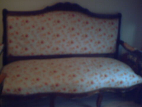 canap 70 Aurec-sur-Loire (43)