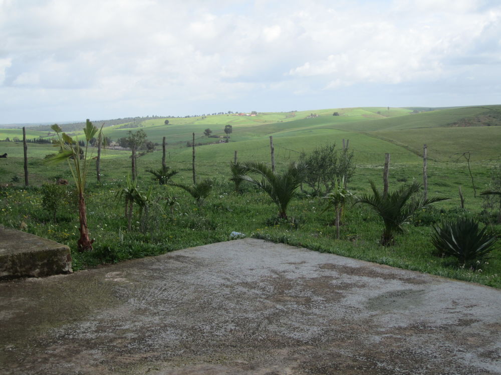 Vente Ferme une Ferme à Sidi Bettache au Maroc, Sidi bettache, maroc (Maroc)