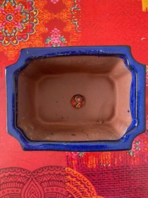 Pot  bonsa 8 Montpellier (34)