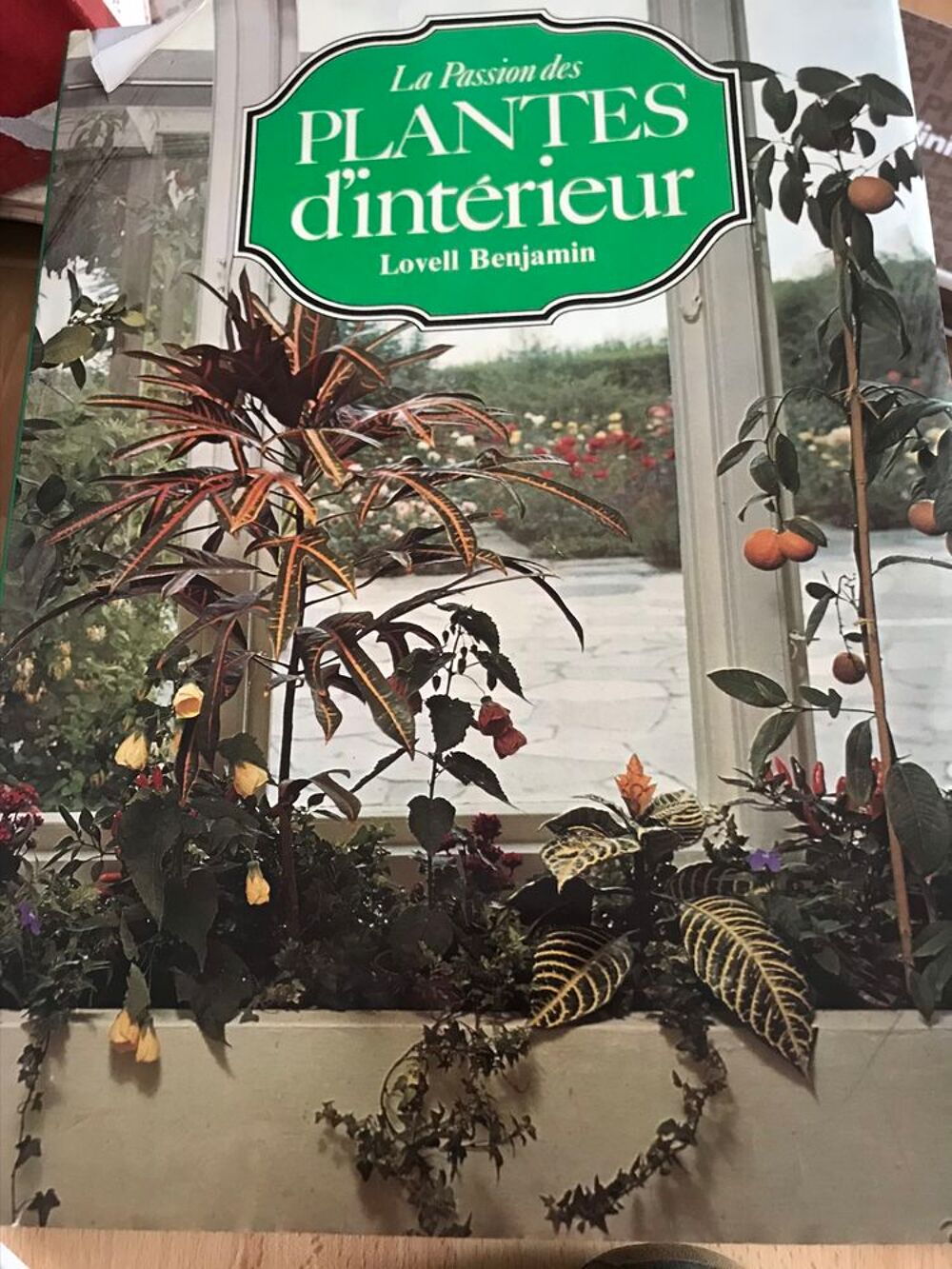 PLANTES D INTERIEUR Lovell Benjamin Cuisine
