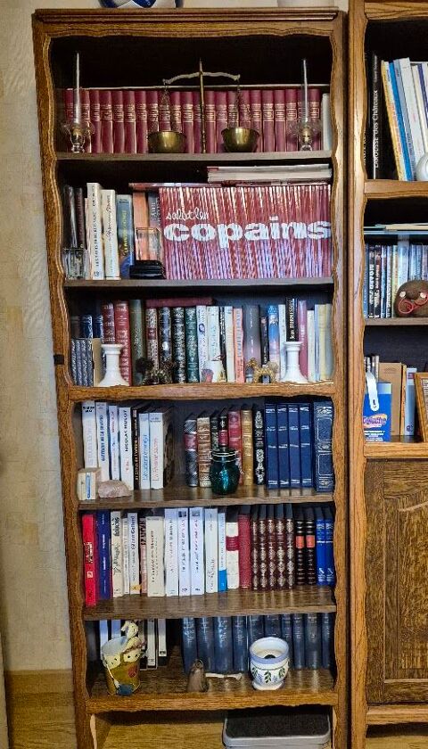  meuble biblioth�que 15 Saint-Dolay (56)