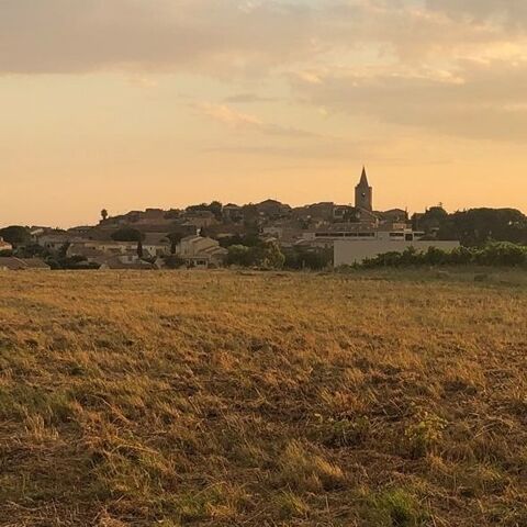 retraité 60 ans cherche étudiante ou dame de compagnie 0 34230 Saint-pargoire