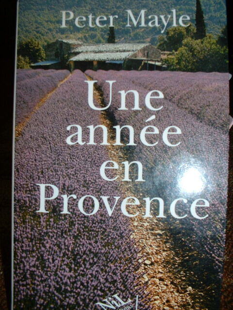 Roman broché 3 Tocane-Saint-Apre (24)