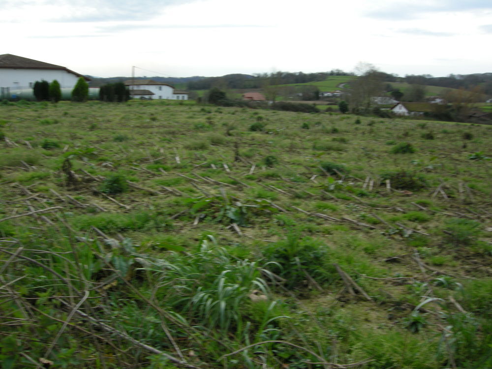 Vente Terrain Terrains constructible Labets-biscay