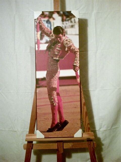 TAUROMACHIE :    PADILLA   38 Anglet (64)